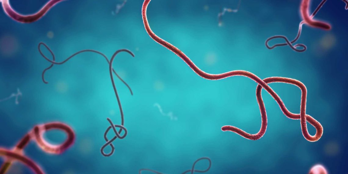 Ebola Merebak di Kongo dan Uganda, WHO Minta Keluarga Pasien Jangan Sentuh Orang yang Sakit