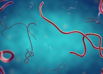Ebola Merebak di Kongo dan Uganda, WHO Minta Keluarga Pasien Jangan Sentuh Orang yang Sakit