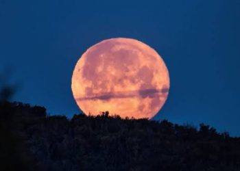 Fenomena Flower Moon 2026: Ini Waktu Puncak dan Cara Terbaik Menyaksikannya