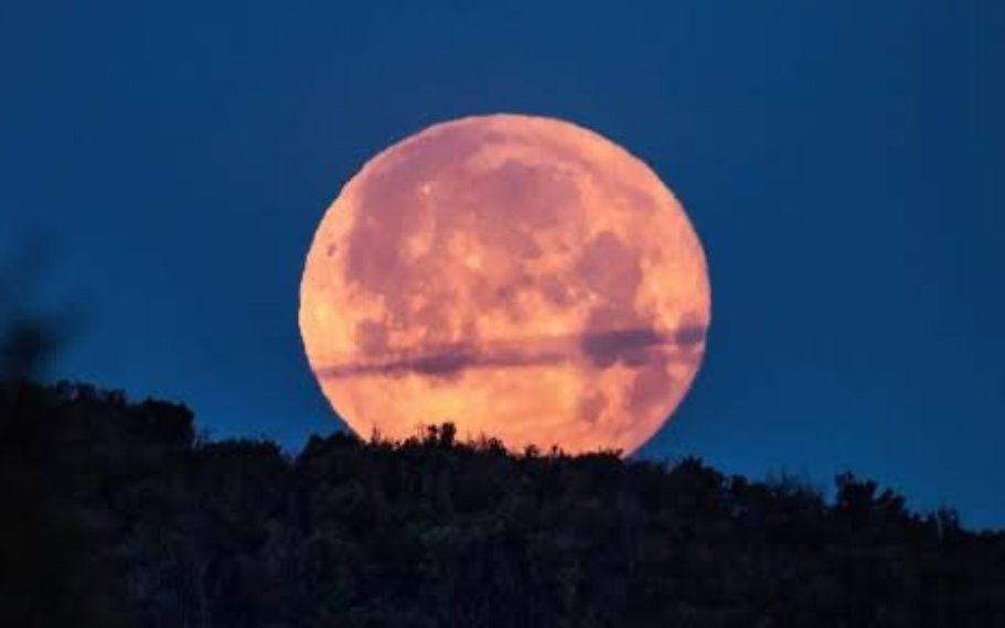 Fenomena Flower Moon 2026: Ini Waktu Puncak dan Cara Terbaik Menyaksikannya