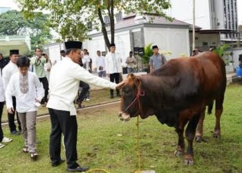 Hukum Potong Kuku dan Rambut bagi Pekurban Menurut Empat Mazhab pada Iduladha