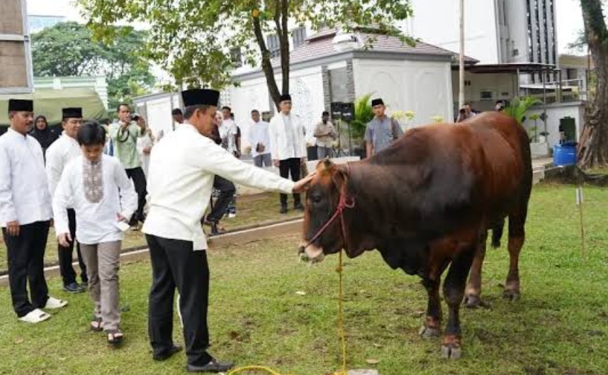 Hukum Potong Kuku dan Rambut bagi Pekurban Menurut Empat Mazhab pada Iduladha