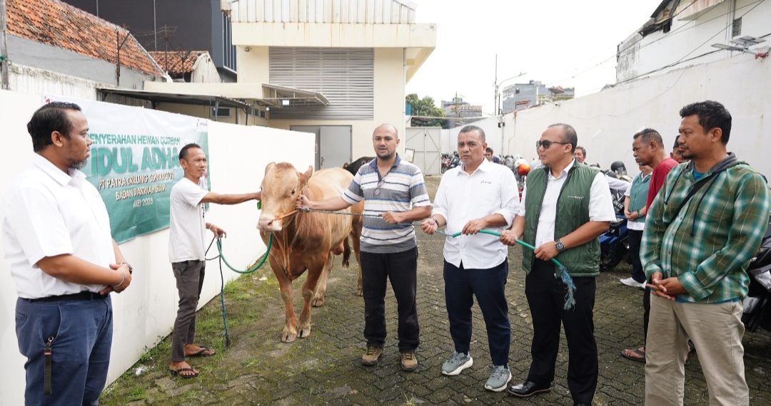 PDC Distribusikan Hewan Kurban ke Seluruh Wilayah Operasional