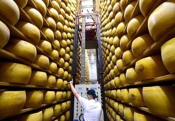 Di Balik ‘Cheese Bank’ Italia, Parmigiano Reggiano Jadi Jaminan Finansial