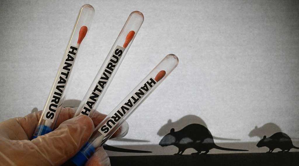 WHO Buka Suara soal Wabah Hantavirus di MV Hondius, Penumpang Dievakuasi Ketat