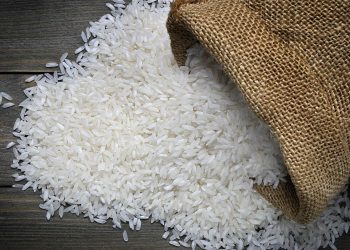 Stok 5,37 Juta Ton Bikin Pede, Pemerintah Alokasikan 500 Ribu Ton Beras untuk Ekspor