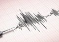 Guncangan Gempa M 4,9 Terjadi di Tolitoli Sulawesi Tengah, Warga Diminta Waspada