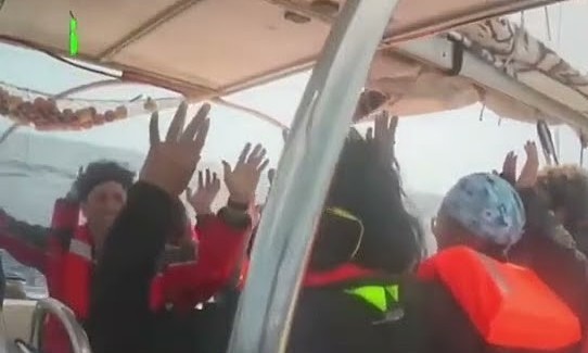 Israel Bebaskan Seluruh Delegasi Global Sumud Flotilla, Termasuk 9 WNI