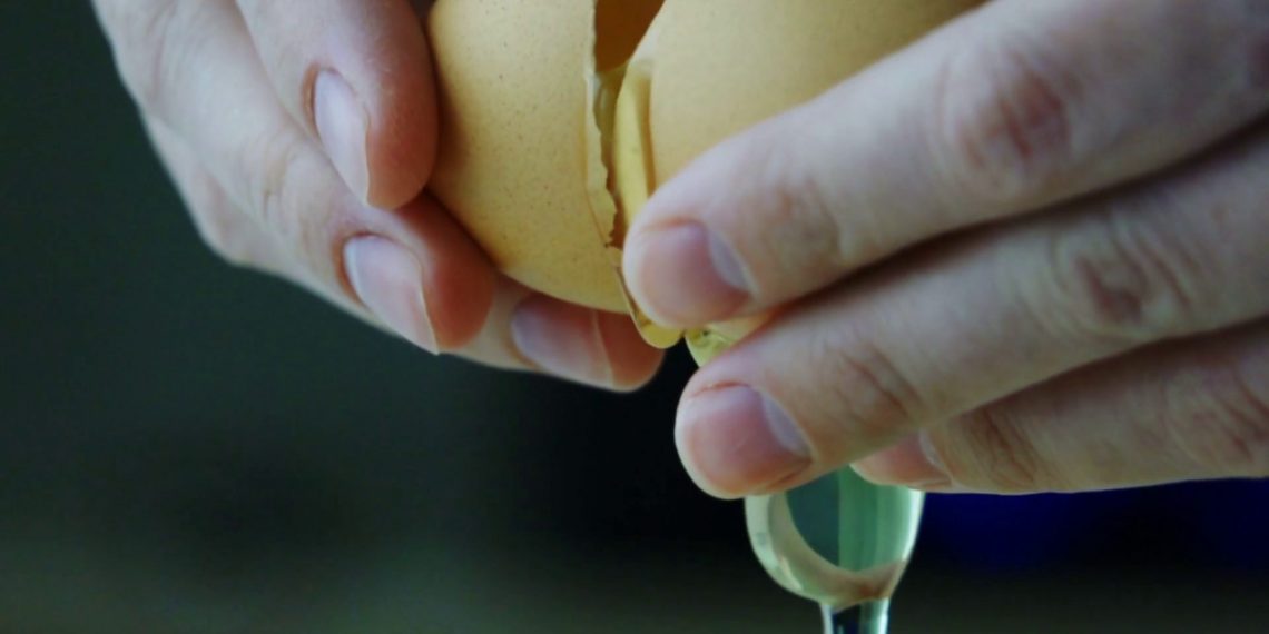 Tips Dapur yang Sering Dilewatkan, Ternyata Begini Cara Benar Memisahkan Kuning Telur