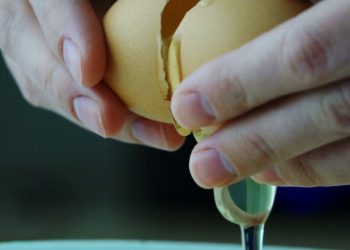 Tips Dapur yang Sering Dilewatkan, Ternyata Begini Cara Benar Memisahkan Kuning Telur