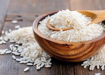 Meski Lahan Panen Naik, Produksi Beras Nasional Justru Terancam Turun