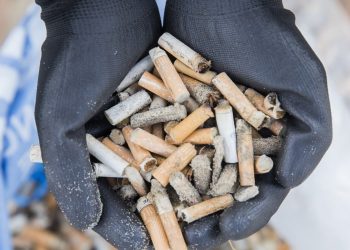 Usulan Kemasan Polos Dinilai Berpotensi Tekan Industri dan Picu Rokok Ilegal