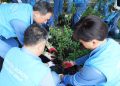 Krakatau Posco Tanamkan Budaya Safety for All kepada Generasi Muda melalui Global Volunteer Week 2026