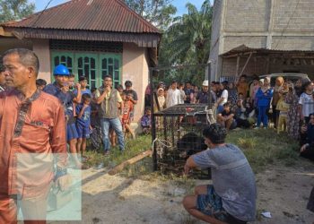 Stasiun KRL JIS Diresmikan, Solusi Baru Atasi Macet Saat Ada Event Besar
