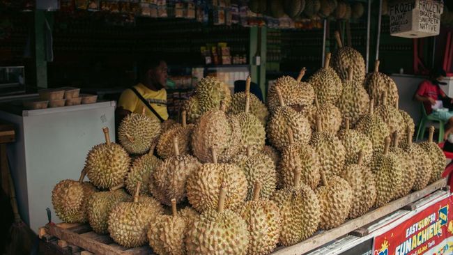 Warga Malaysia Diserbu Panen Raya, Durian Musang King Dijual Murah
