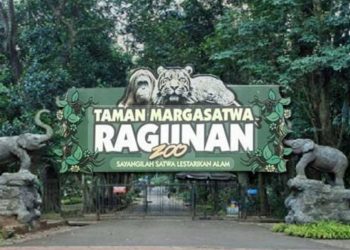 Ragunan Buka Akses Gratis Selama Tiga Hari untuk Warga Jakarta pada 2026