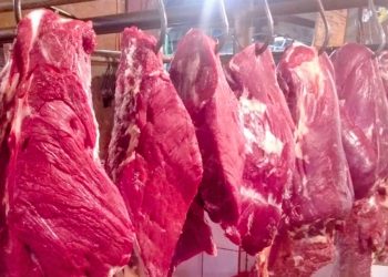 Konsumsi Daging Merah Berlebihan Bisa Ganggu Kualitas Tidur pada 2026