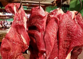 Konsumsi Daging Merah Berlebihan Bisa Ganggu Kualitas Tidur pada 2026