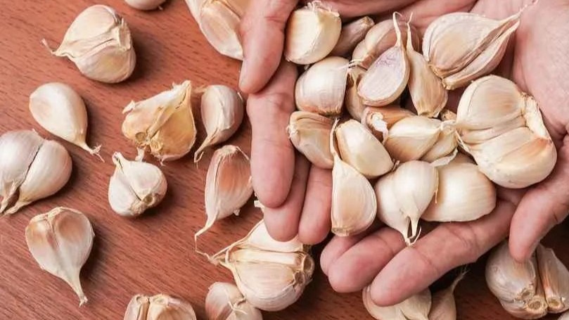 Pemerintah Pasang Target Besar, Bawang Putih Lokal Diharapkan Kuasai Pasar