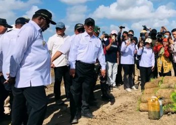 Program Cetak Sawah di Papua Selatan Diklaim Tingkatkan Kesejahteraan Petani