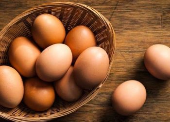 Benarkah Makan 5 Butir Telur Seminggu Bisa Menjaga Kesehatan Otak? Ini Hasil Studinya