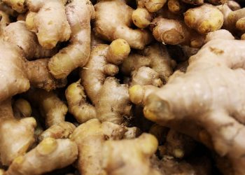 Minyak Biji Labu: Manfaat dan Cara Membuat di rumah Untuk Pertumbuhan Rambut 