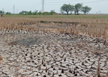 Kemarau 2026, Lima Kecamatan Tangerang Masuk Zona Krisis Air Bersih