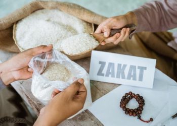 Skema Zakat dan Pajak Diminta Diubah, MUI Dorong Penerapan Tax Credit
