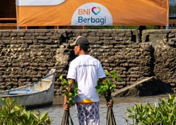 BNI Tanam 258.000 Bibit Mangrove untuk Jaga Lingkungan dan Buka Peluang Usaha