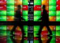 IHSG Kembali Terbang, Naik 0,81% dan Dekati Level 6.400
