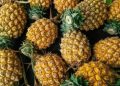 Berasal dari Indonesia, Buah Ini Pernah Bernilai Fantastis di Eropa