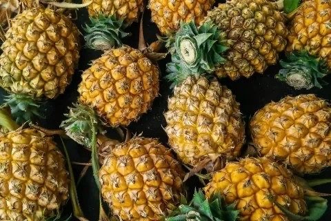 Berasal dari Indonesia, Buah Ini Pernah Bernilai Fantastis di Eropa