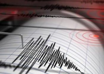 Gempa Berkekuatan M 2,3 Landa Sigi, BMKG Pastikan Aman dari Tsunami