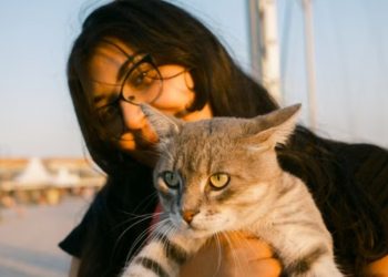 Mau Pelihara Kucing? Simak Karakter Munchkin, Ragdoll, dan British Shorthair