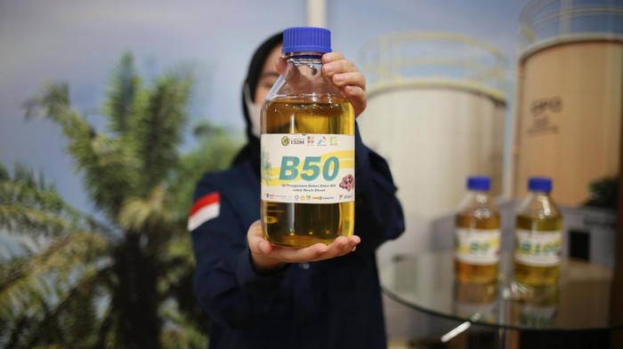 Pengusaha Kapal Minta Pemerintah Utamakan Uji B50 Sebelum Implementasi