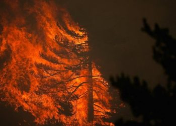 Spanyol Kerahkan Seluruh Sumber Daya Usai Kebakaran Hutan Meluas di Berbagai Wilayah
