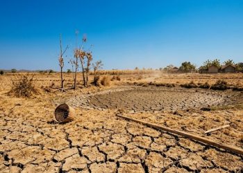 Tak Hanya Kekeringan, El Nino Super Diprediksi Picu Migrasi Massal di Afrika