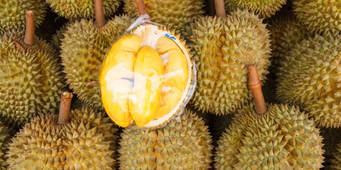 Harga Durian di Malaysia Jatuh karena Panen Besar, Wisata Kuliner Durian Langsung Ramai