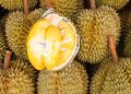 Harga Durian di Malaysia Jatuh karena Panen Besar, Wisata Kuliner Durian Langsung Ramai