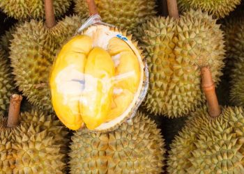Harga Durian di Malaysia Jatuh karena Panen Besar, Wisata Kuliner Durian Langsung Ramai