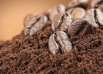 Jangan Dibuang, Ampas Kopi Ternyata Bisa Diolah Menjadi Biochar Berenergi Tinggi
