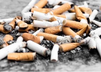 Berawal dari Laporan Warga, Bea Cukai Bongkar Pengiriman 1,4 Juta Batang Rokok Ilegal