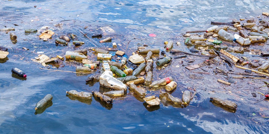 92% Hewan Laut Dalam Ternyata Mengandung Mikroplastik