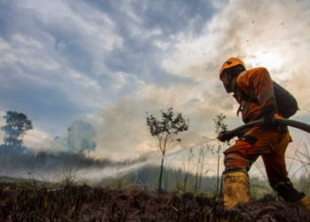 BNPB Ungkap Karhutla dan Kekeringan Masih Jadi Bencana Terbesar di Musim Kemarau