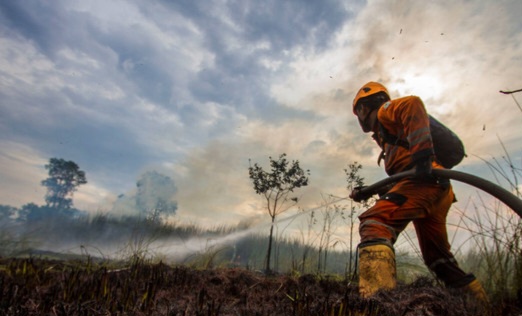 BNPB Ungkap Karhutla dan Kekeringan Masih Jadi Bencana Terbesar di Musim Kemarau