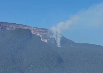 Kebakaran Gunung Gede Makin Meluas, Ratusan Petugas Turun Tangan