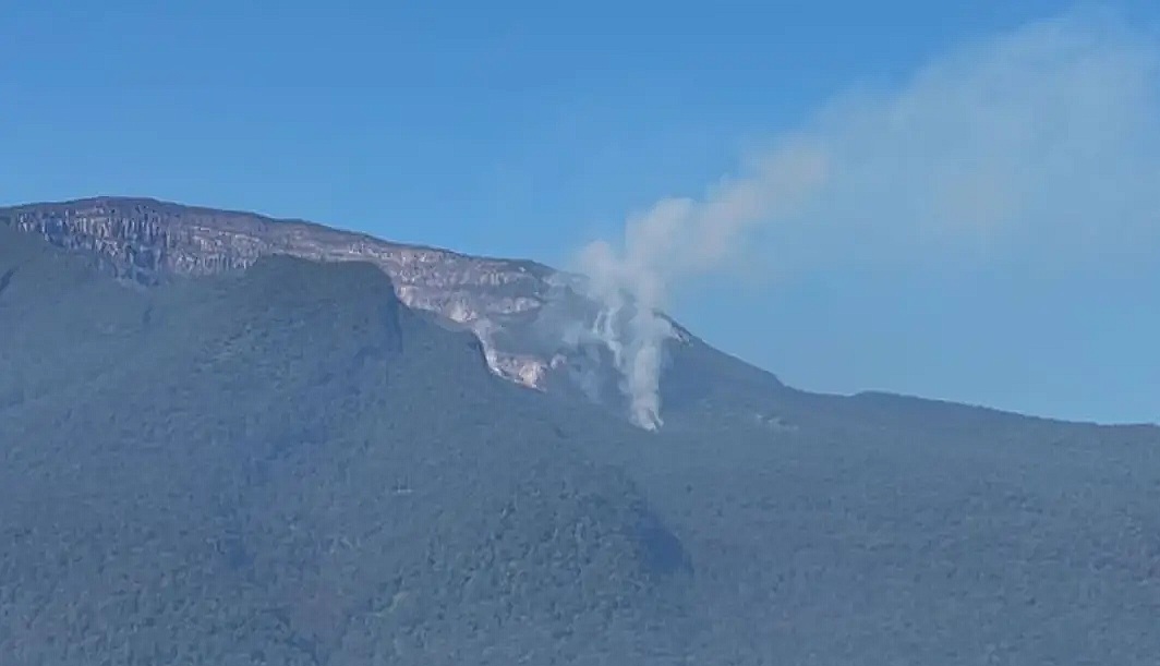 Kebakaran Gunung Gede Makin Meluas, Ratusan Petugas Turun Tangan