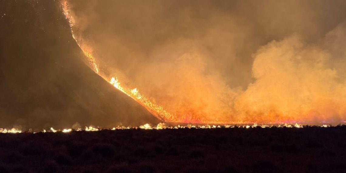 Api Karhutla Bromo Capai 176 Hektare, B29 Ikut Ditutup untuk Wisatawan