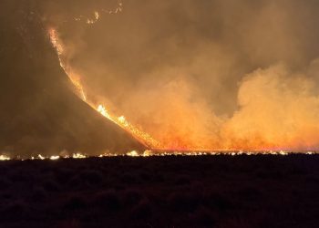 Api Karhutla Bromo Capai 176 Hektare, B29 Ikut Ditutup untuk Wisatawan