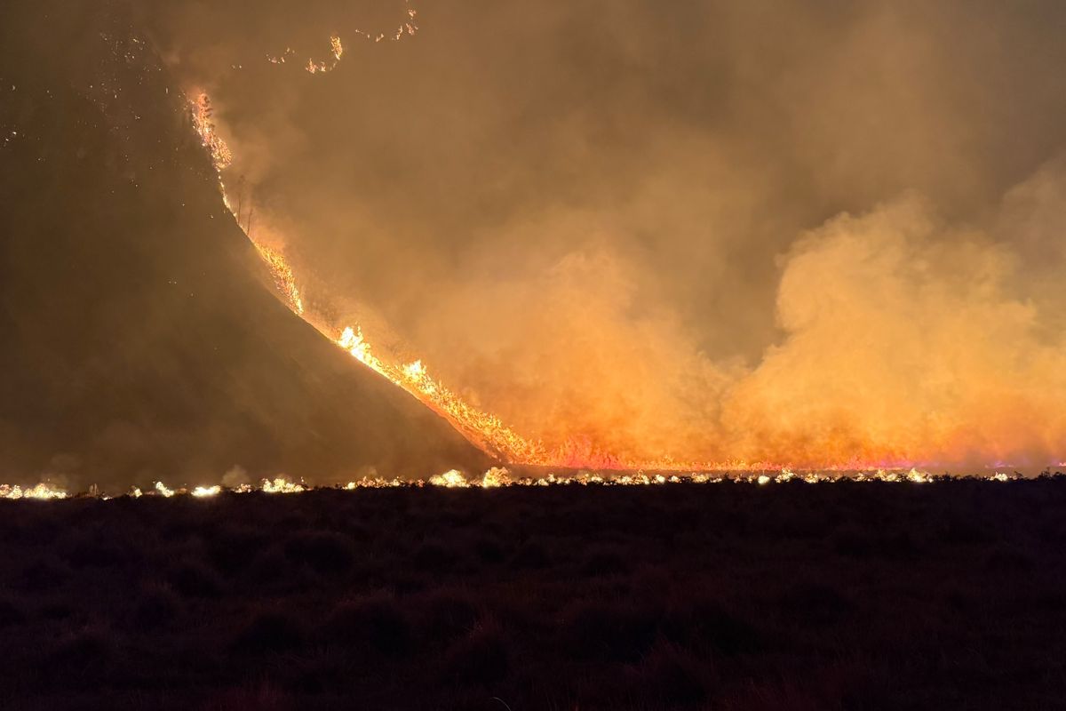 Api Karhutla Bromo Capai 176 Hektare, B29 Ikut Ditutup untuk Wisatawan